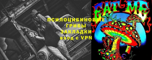 стафф Баксан