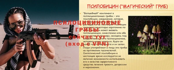 соль ск Балахна